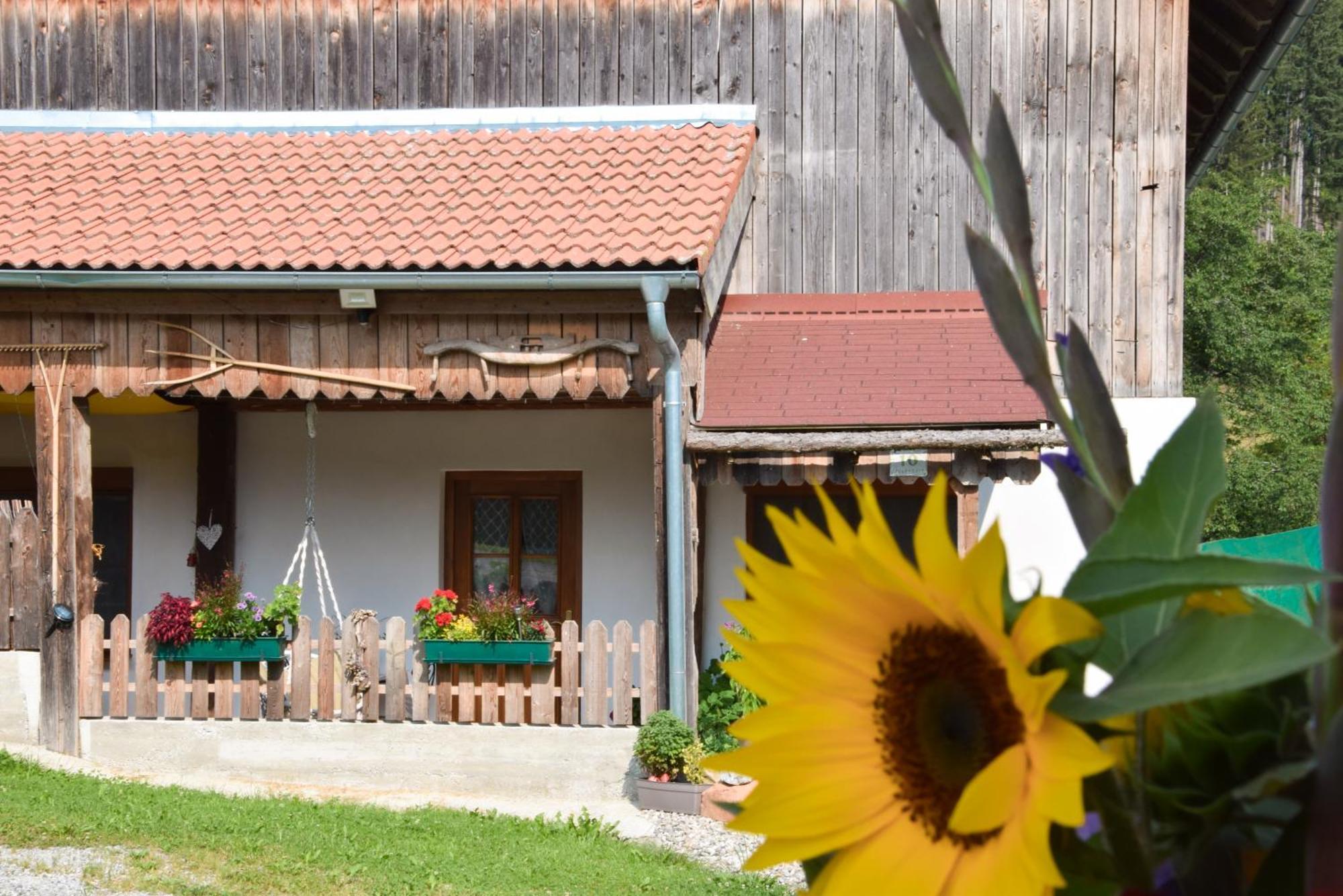 Romantiksuite Bei Seitberger Frauenberg Luaran gambar